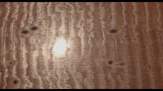 Substance Designer - Chatoyant/Figured/Fiddleback/Anisotropic Wood Effect