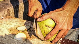 Amazing Coconut Cutting Skills | Street Food Thai coconut