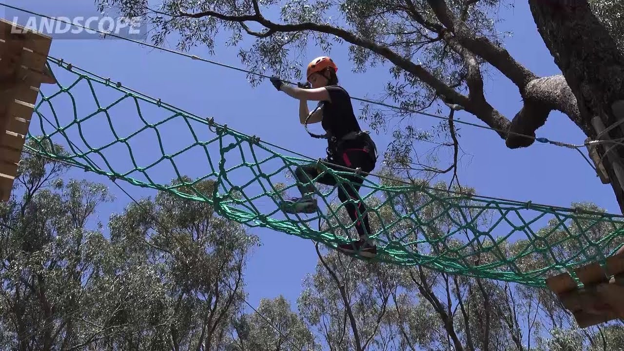 environmental news Journey to the Trees Adventure