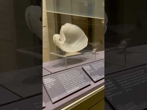 جام شراب امپراتور شاه جهان موزه ویکتوریا و آلبرت لندن