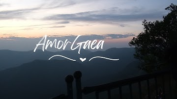 Reintroducing ആMORGAEA - World through Gaea