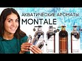 Акватические ароматы Montale. Обзор духов Монталь с морскими нотами