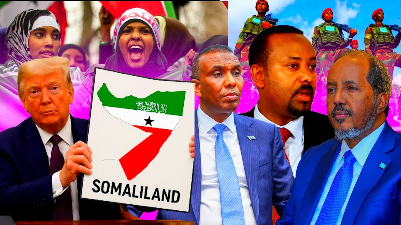 Deg Deg Xilka Xayubinta RW Xamse, Aqonsiga S/Land, Wada Hadalka DF & Itobiya