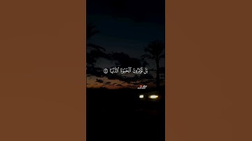 ما تيسر من سورة الأعلى | بصوت القارئ عبدالرحمن مسعد