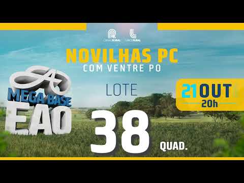 LOTE 38