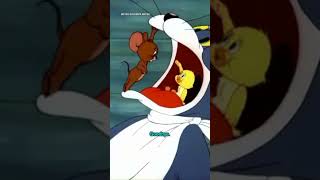 Tom &amp; Jerry — Quacker’s Tragic Bad Day 🦆🐱🐭