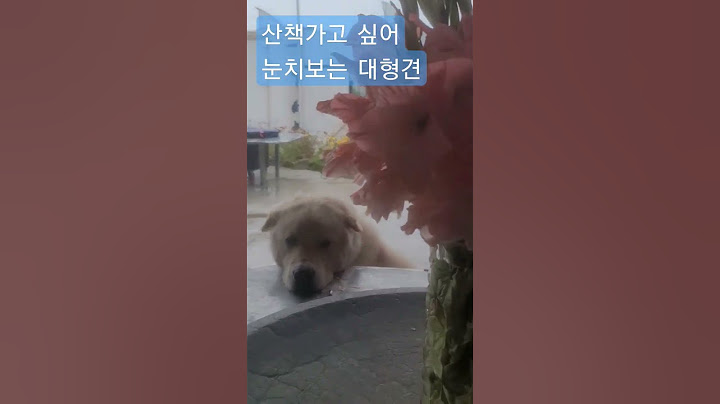 비 그치는데? I want to go for a walk #shorts