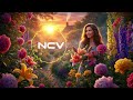 Melody of Love | Emotional Piano &amp; Guitar Romance Music | NCV - Copyright Free Music