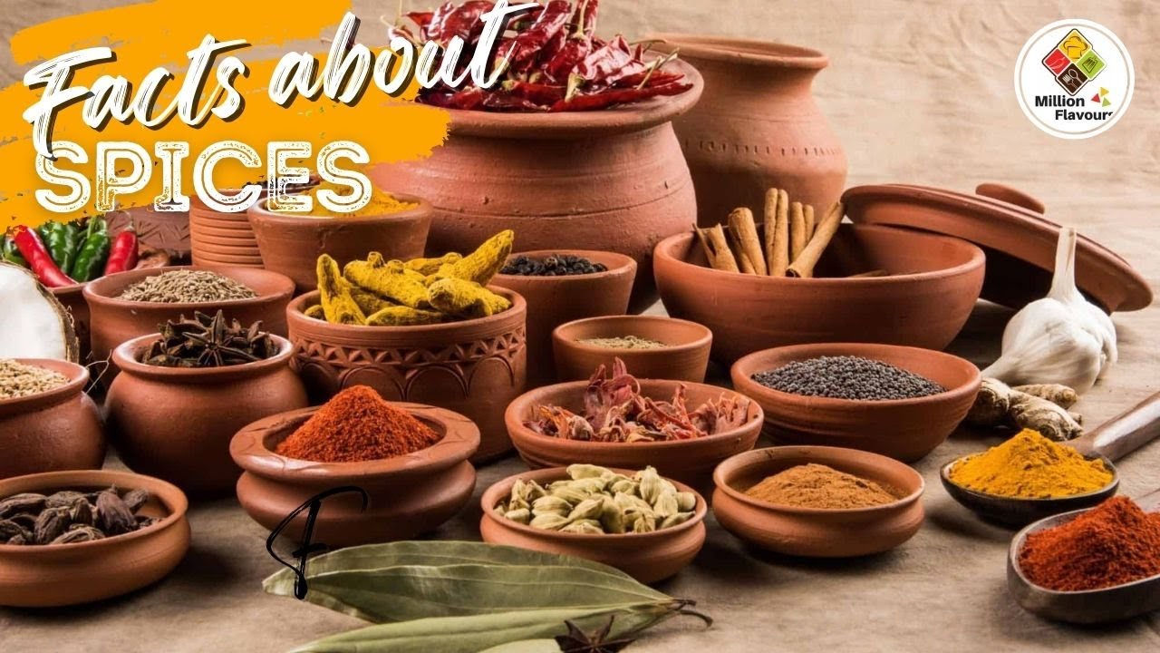 15 Interesting Facts about Indian Spices Spices in Indian Cooking