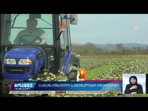 საგაზაფხულო სამუშაოები იმერეთში აქტიურად მიმდინარეობს