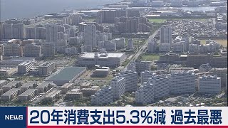 20年の消費支出5.3％減で過去最悪（2021年2月5日）