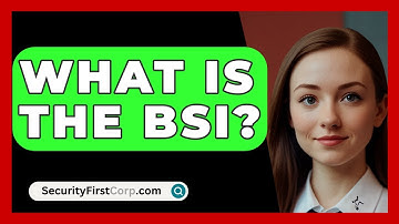 What Is The BSI? - SecurityFirstCorp.com