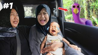 RERE MENEMUKAN BAYI LUCU TERNYATA BAYI OPILA BIRD !! AUTO DI KEJAR KEJAR