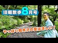 【実は人のいない道もあるんです!】8月中旬の旧軽井沢はどんな様子?地元民がお散歩しながら見どころを解説します!