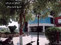 كتكوت مكسور الجناح والتنسيق غدر بيه كتكوت مكسور الجناح والتنسيق غدر بيه