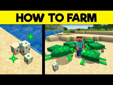 Ultimate Guide To TURTLES & How To Farm Them In Minecraft