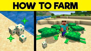 Ultimate Guide To Turtles How To Farm Them In Minecraft
