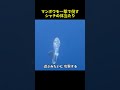 シャチがマンボウを一撃で倒した理由、誰も知らない真実