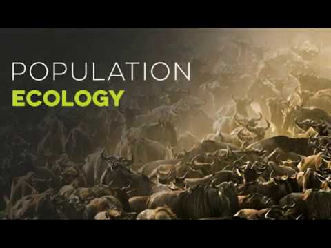 Video: Geoekologiya Nima