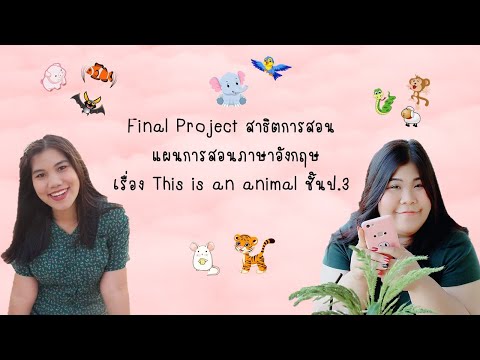 Final Project สาธิตการสอน แผนการสอนภาษาอังกฤษ เรื่อง This is an animal ชั้นป.3