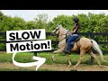 Incredible horses in slow motion