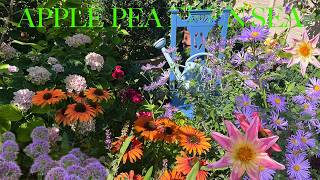 Our Small English Garden, Beautiful Transition Into Autumn, An Honest A-to-Z of Flowers
