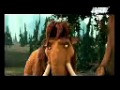 زهرة شوفيني راني طايــــر 