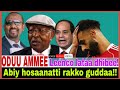 Abiy Hosaanatti Rakko Guddaan Leenco Lataa Dhibee 12 8 2025 AGM 