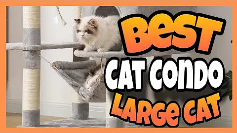 Watch the video about TOP 5 ✅BEST CAT CONDO FOR LARGE CATS OF 2025 REVIEWED| ✅KITTY CONDOS FOR LARGE CATS, CAT CONDO LARGE