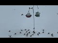 DIY 7$ Bird Feeder