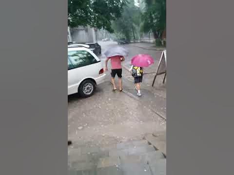 Бугын таразда буршак жауды. - YouTube