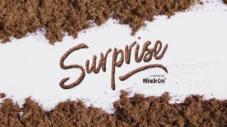 How to Use Surprise crafted by Miracle-Gro™ Fibermix™ by Miracle-Gro 603 views 2 years ago 44 seconds