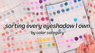 I Made a Swatch Book Of EVERY Eyeshadow in my Collection (330+ Shadows Sorted Into Color Categories)