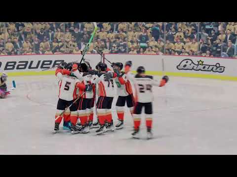 Chl Anahiem ducks
