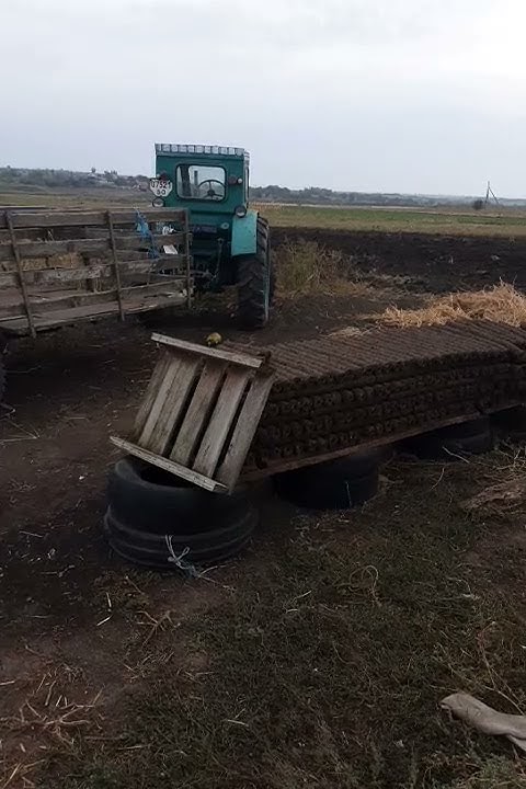паливні брикети з навозу -процес сушки/топливные брикеты с навоза ...