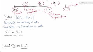 01  Tolerance Limits