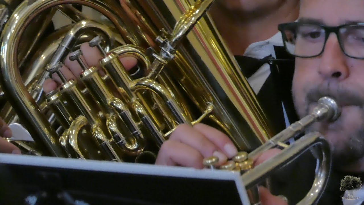 AM Estrella (Dos Hermanas) - Cautivo