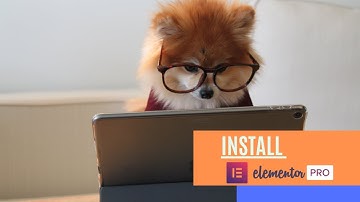 Install Elementor Pro on Wordpress Website