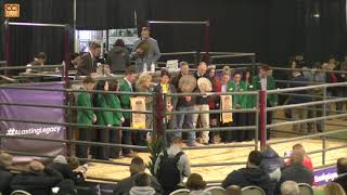 National Angus Bull Sale, Oklahoma City, OK Jan 5th, 2024