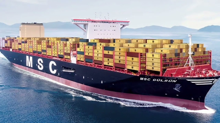 Top 10 container shipping lines in the world 2023 năm 2024