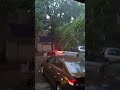 Jayanagar ⛈️🌧️⛈️ #rain #bangalore #rcb
