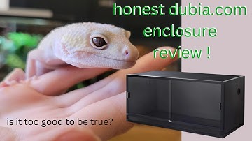 Dubia Roaches PVC Reptile Habitats HONEST Enclosure Review