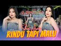 Shinta Arsinta - RINDU TAPI MALU (Official Music Video ANEKA SAFARI)