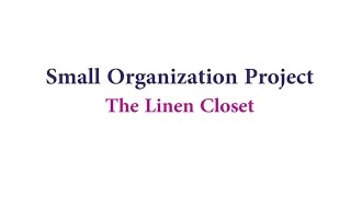 Small Organization Project: The Linen Closet