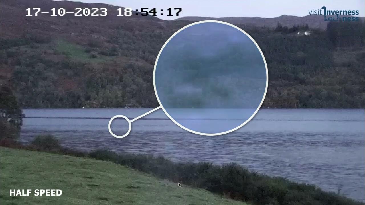 Loch Ness Monster's Head and Curved Neck and Tail captured on VILN ...