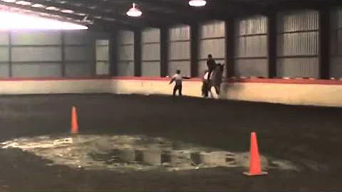 Joint Care AllinFlex made huge difference on horse...