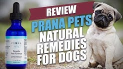 Prana Pets Natural Remedies for Dogs Review