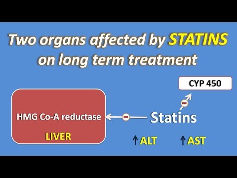 Video: Concomitant Use Of Statins And Clarithromycin &#91;proved To Be Dangerous For The Elderly&#93;