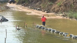 Conservationists In Edgewater Are Putting Shellfish To The Test For Shoreline Restoration