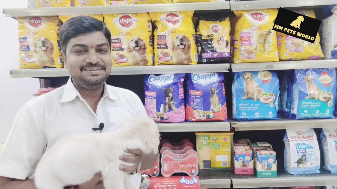Cheapest dogs & pet shop in Hyderabad Buy pets online accessoriesRR